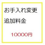調整10000