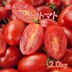 [ Kumamoto префектура производство Aiko помидор 2kg]