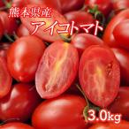 [ Kumamoto префектура производство Aiko помидор 3kg]