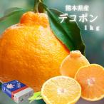 熊本県産 デコポン 約�