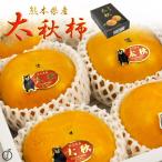  специальный отбор Kumamoto префектура производство futoshi осень хурма 5 шар ~6 шар несессер входить хочет ... большой осень хурма хурма .. осенний тест . Saxa k. еда чувство фрукты подарок бесплатная доставка совершенно . хурма товар вид 