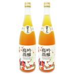 加賀鳶 吟醸梅酒 720ml × 2本 福光屋