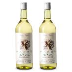 . сельское хозяйство .. один ...naiyagala белый 720ml × 2 шт кислота . предотвращающее средство без добавок [ белый вино немного ..]