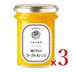 . . только японский плоды фрукты джем Seto внутри ne-bru orange 160g×3 шт 