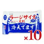 iiもの本舗 大判クールタオル ラージサイズ冷えてます 40×30cm 12枚入 × 10個
