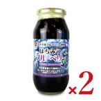 ショッピングはちみつ 加藤美蜂園本舗 はちみつブルーベリー 650g × 2本