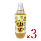 北川村ゆず王国 つぶつぶゆず 480g × 3本