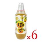 北川村ゆず王国 つぶつぶゆず 480g × 6本