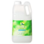緑の魔女 キッチン 食器用洗剤 2L 業務用