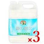 洗濯洗剤 洗剤 液体 緑の魔女 業務用 緑の魔女 ランドリー 洗濯用洗剤 5L×3個 フローラルの香り