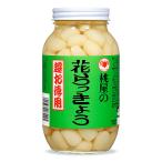 ショッピング桃屋 桃屋花らっきょう 超お徳用 580g