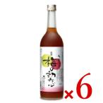 倍 倍 ストア +5％ 29-30日限定 中野BC 梅の初恋 瓶 720ml 6本 ケース販売