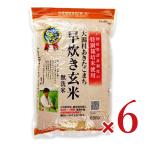 大潟村あきたこまち生産者協会 特別栽培米大潟村あきたこまち早炊き玄米鉄分 850g × 6袋