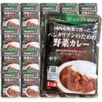 カレー レトルトカレー レトルト食品 桜井食品 ベジタリアンのための野菜カレー 200g × 20袋