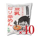 ベジタリアンの豆乳ピリ辛めん 40食分［桜井食品］
