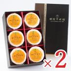 銀座千疋屋 銀座まるごとみかん ぜりぃ [105g×6個] × 2箱 みかんゼリー