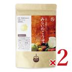 九南サービス みらいのこうそ レモン味 100g × 2個