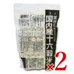 雑穀米 雑穀 種商 国内産十六穀米 業務用 500g × 2個