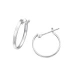 プラチナピアス