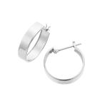 プラチナピアス