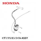 HONDA 発電機用 イグニッションコイルASSY WT30XK1 EB3000 EM3000 EX3000 EX4000 EXT4000 EB4500 EM4500 ET4500 ※メーカー在庫限り※要確認