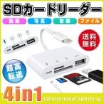 SDカードリーダー iPhone iPad USBポート Lightning 4in1 TFカード 転送 写真 送料無料