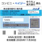 ANA(全日空)株主優待券 10枚セット 有効期限2026年11月30日(郵送のみ)