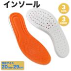 【メール便送料無料】