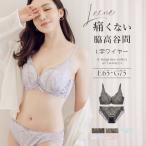 女性下着 上下セット ブラジャー 大きいサイズ ショーツ 痛くない脇高谷間ブラ〜Leeneシリーズ〜 ピオニーレースカシュクールブラ&ショーツ ツーハッチ