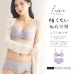 下着女性 レディース ブラジャー 上下セット 大きいサイズ 《Leene》シルキーヴェールブラ&ショーツ  脇肉 補正 ワイヤー入り ソフトワイヤー ツーハッチ