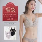 福袋 2026《ブラ&amp;ショーツ2本セット》デザイン・カラーおまかせ 女性下着 ブラジャー ショーツ 上下セット レディース 補正下着 下着福袋 ツーハッチ