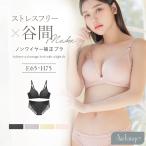 下着女性 上下セット《エアランジュ》アンジュブラ ブラ ショーツセット すっきり 盛り 谷間 ノンワイヤー 楽ちん ツーハッチ