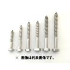 ☆あす楽対応☆【メール便可】ステン  ステンレス　六角　コーチスクリュー　コーチボルト　スクリューボルト　10×100