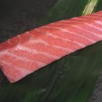  натуральный южный голубой тунец Индия . жирный тунец 