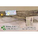 大分県産自然薯800g竹姫 じねんじょ 山芋 ギフト 自宅用