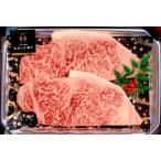おおいた和牛 サーロイン ステーキ 肉質4等級以上 刺し　お歳暮 豊後牛の最高級 「おおいた和牛サーロインステーキ2枚」黒毛和牛 豊後牛 ミシュランガイド 上質