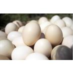 豊富な栄養素を持つ　大分県産　おおいた烏骨鶏の卵2パック