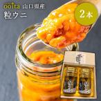 お歳暮 お中元 化粧箱入り 粒ウニ2本 粒ウニ うに 塩うに 贅沢