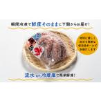  подарок по случаю конца года подарок на Bon Festival .. осьминог круг .1 кубок .... sashimi Tang .. роскошь натуральный Shimonoseki .. море . осьминог Tang ..