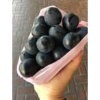 .. для * для бытового использования nagano лиловый 1. примерно 700g передний и задний (до и после) Nagano производство крупный вид нет высота сахар раз 