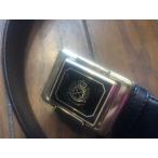 ホールインワン！ 万歩計付き ベルト