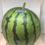 [ Toyama производство ] крем маленький шар ...1 шар примерно 2kg передний и задний (до и после) ...ju-si-. маленький шар арбуз лето. подарок тоже!