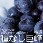 Nagano производство .. несессер 