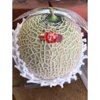 土佐・高知産赤肉メロ