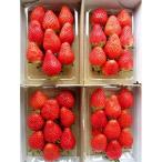 とちおとめ いちご