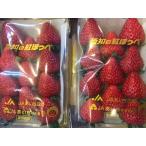 ショッピングいちご 紅ほっぺ いちご