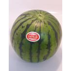 ひとりじめ スイカ 1玉 約2kg 前後
