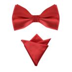 [Allegra K] мужской бабочка галстук pocket square комплект свадьба смокинг формальный 