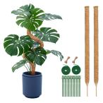  садоводство фигурная скобка 120cm 2PCS futoshi . монстера фигурная скобка здесь палочка DIY искривление .. возможность . лист ... растения растения .. садоводство сельское хозяйство для садоводство для 