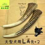 大型犬用鹿の角Lサイズ角先2本セッ...